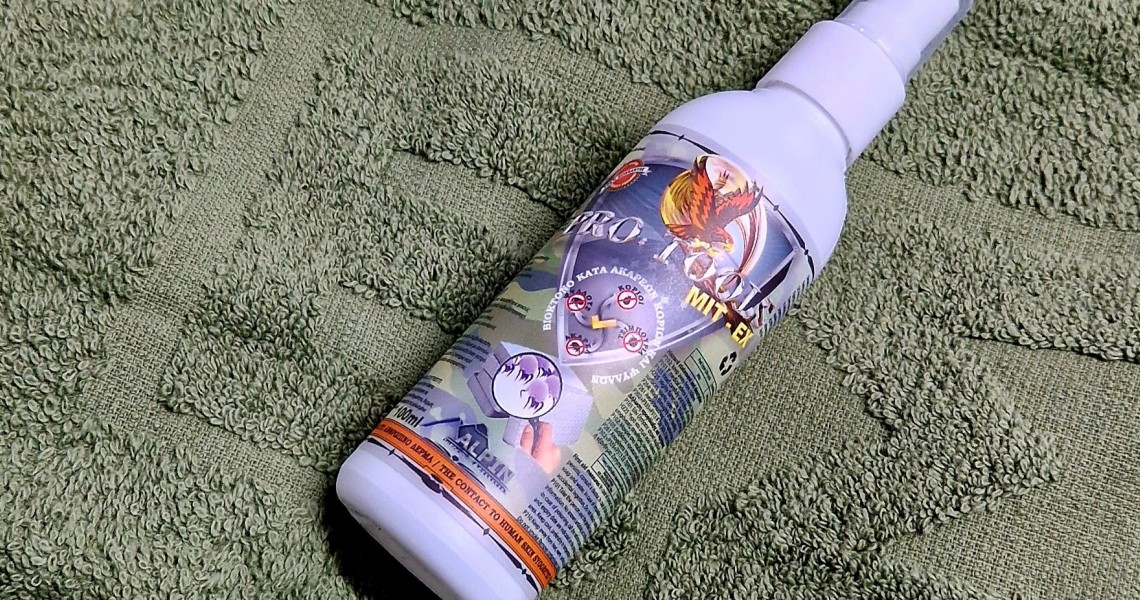 Πώς θα καταλάβετε ότι έχετε κοριούς στο σπίτι σας