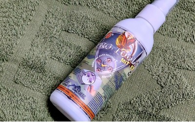 Πώς θα καταλάβετε ότι έχετε κοριούς στο σπίτι σας