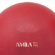 Μπάλα Γυμναστικής 65cm Amila