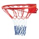 Basketball Hoop Amila