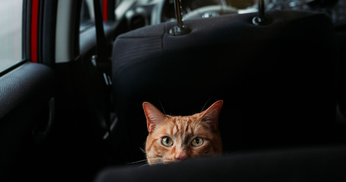 Ένας Πραγματικός Ιχνηλάτης