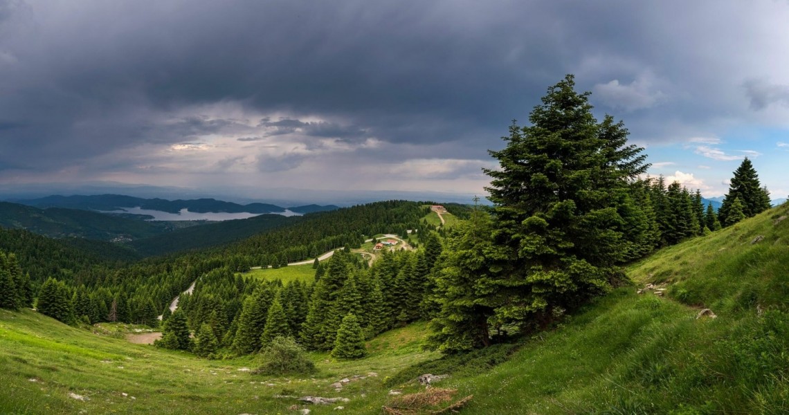 «Θα πρέπει να γίνεις αγρίμι για να επιβιώσεις εδώ πάνω»