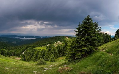 «Θα πρέπει να γίνεις αγρίμι για να επιβιώσεις εδώ πάνω»