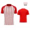 Shirt Tratto Givova